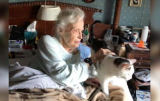 101-year-old woman adopts oldest cat in the shelter