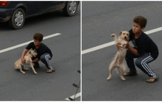 11-Year-Old Boy Runs In The Street To Rescue The Injured Dog That Was Hit By Car