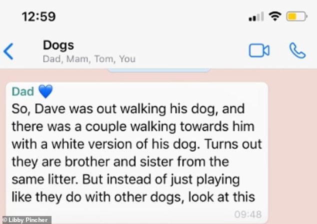 Attached was a screenshot of a Whatsapp message from her Dad which read: 'So, Dave was out walking his dog and there was a couple walking towards him with a white version of his dog. Turns out they are brother and sister from the same litter. But instead of just playing like they do with other dogs look at this.