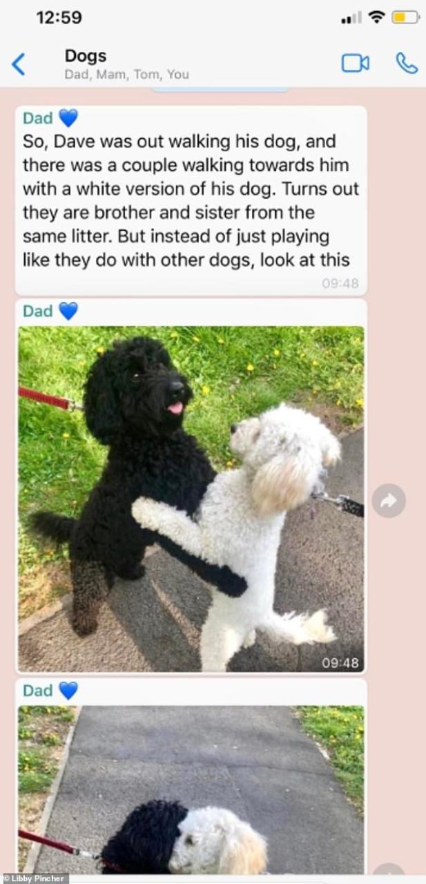 Sharing the cute photos to Twitter, Libby wrote: 'Pls look at what my dad sent me this morning I cannot even.