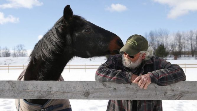 40-year-old Racehorse Retiree And 58-Year-Old Man Give Themselves Reason To Live