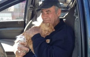 76-Year-Old Man Has Collected Scrap Metal To Feed Stay Cats Every Day For 22 Years