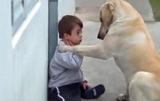 Boy With Down Syndrome Has No Friends, The Dog’s Reaction Brought Me To Tears