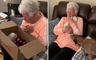 Grandmother Cries After Being Surprised By A New Puppy