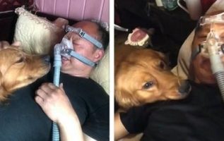 Heartwarming Moment – Dog Refuses To Leave Owner’s Side While Wearing a Ventilator