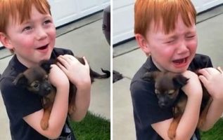 Little Boy Was Saving Up To Buy Puppy – Adorable Reaction When Grandparents Gift Him One