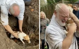 Man in tears after pulling his missing dog from a fox hole
