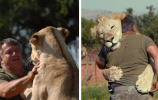 Meet The Man Who Spends His Time Hugging Lions and Tigers