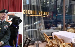 Restaurant kicks out army veteran – says his service dog can’t come inside