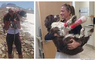 Woman Finds Injured 55-Pound Dog Alone On Mountain And Lifts Him Onto Her Shoulders